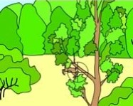 Deer hunt online