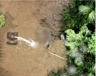 Jungle defense online katonás játék