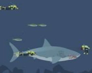 Mad shark online