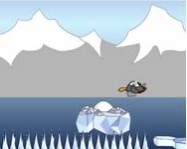 Polar rescue online